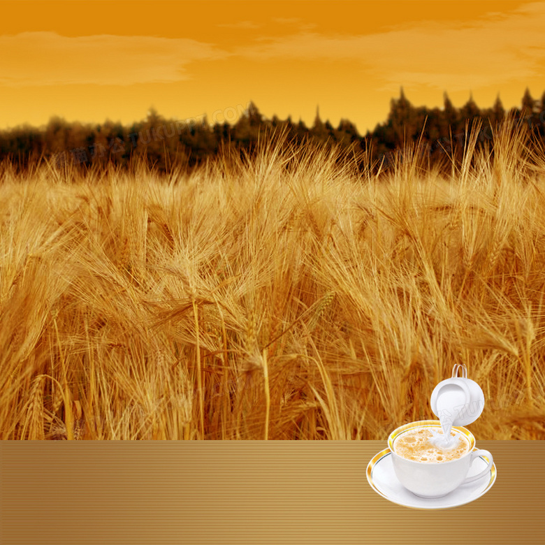 稻田麦子燕麦片PSD分层主图背景素材 广告制作的创意基石